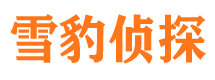 吉林侦探调查公司